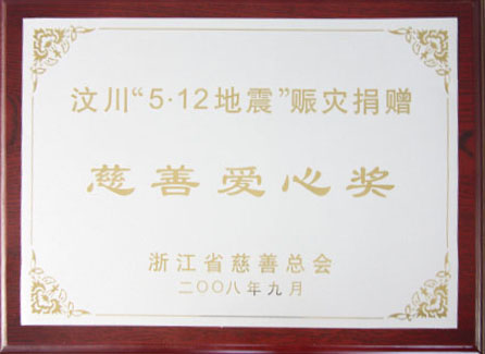 汶川“5.12地动”赈灾捐钱“慈善爱心奖”
