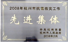 2008年度抗雪救灾先进整体