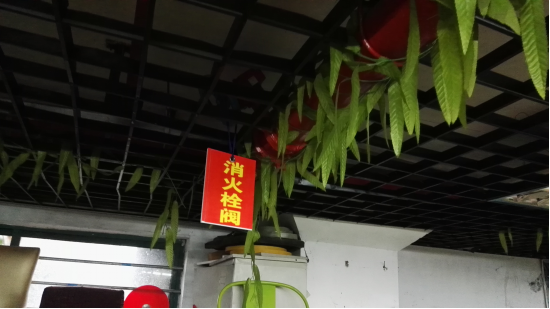 亚游AG娱乐|AG真人国际厅