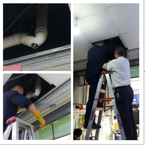 亚游AG娱乐|AG真人国际厅