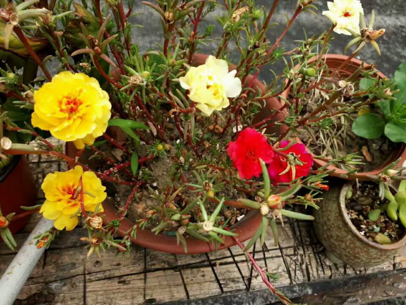 亚游AG娱乐|AG真人国际厅