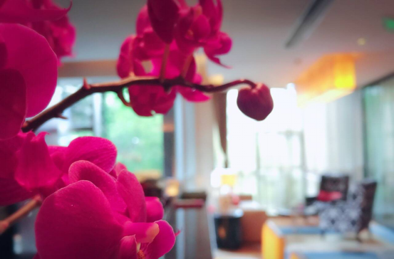 亚游AG娱乐|AG真人国际厅