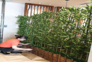 亚游AG娱乐|AG真人国际厅