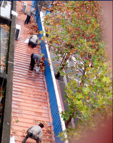 亚游AG娱乐|AG真人国际厅