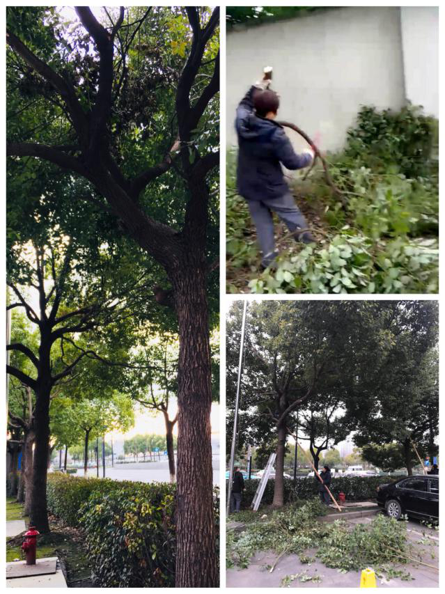 亚游AG娱乐|AG真人国际厅