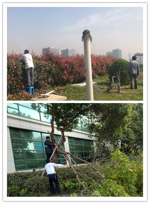 亚游AG娱乐|AG真人国际厅