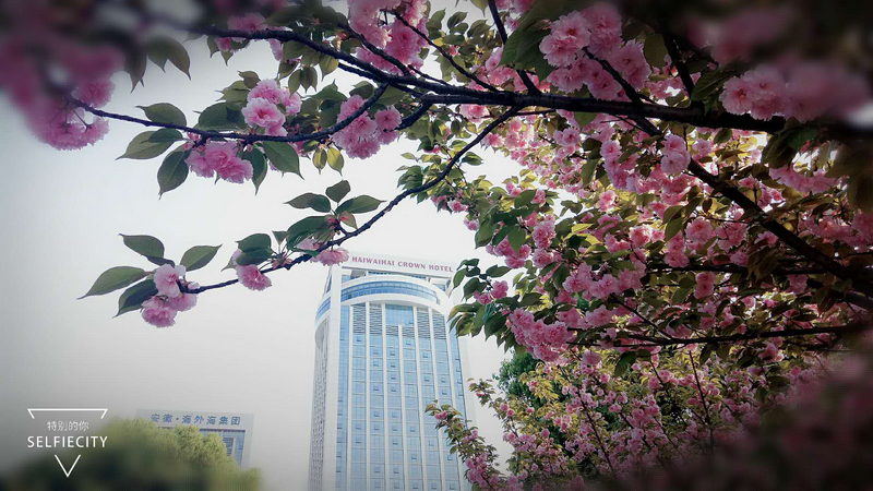 亚游AG娱乐|AG真人国际厅