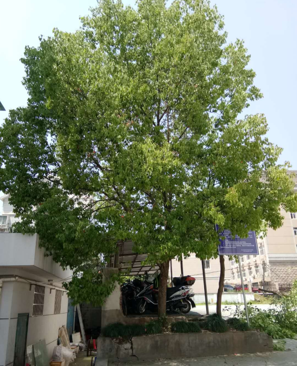 亚游AG娱乐|AG真人国际厅