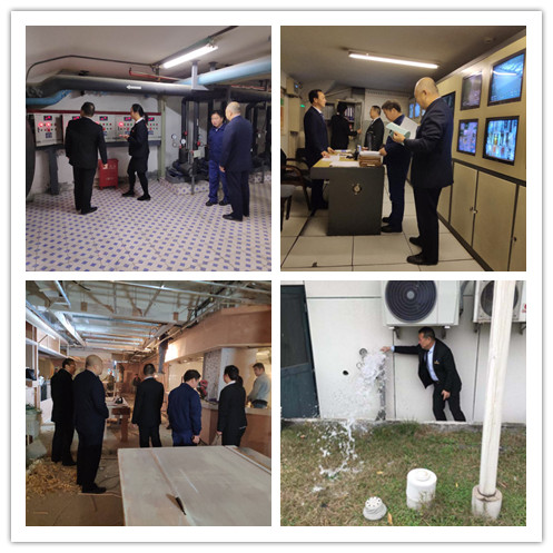 亚游AG娱乐|AG真人国际厅