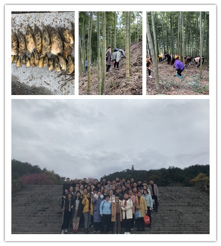 亚游AG娱乐|AG真人国际厅