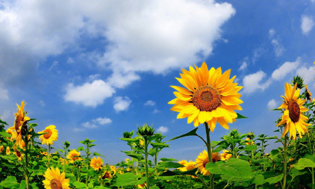 亚游AG娱乐|AG真人国际厅