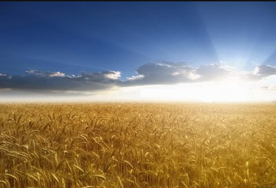 亚游AG娱乐|AG真人国际厅