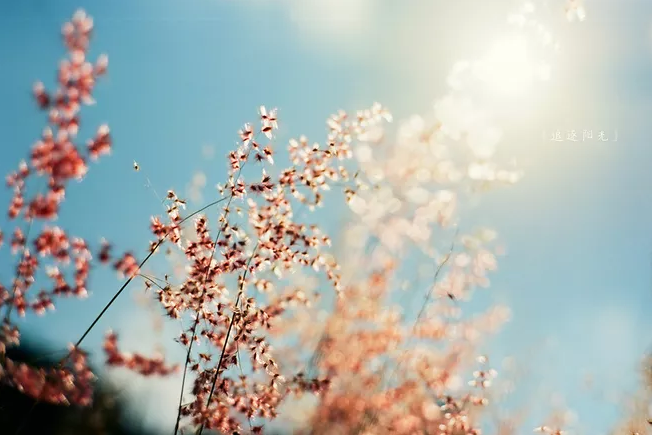 亚游AG娱乐|AG真人国际厅