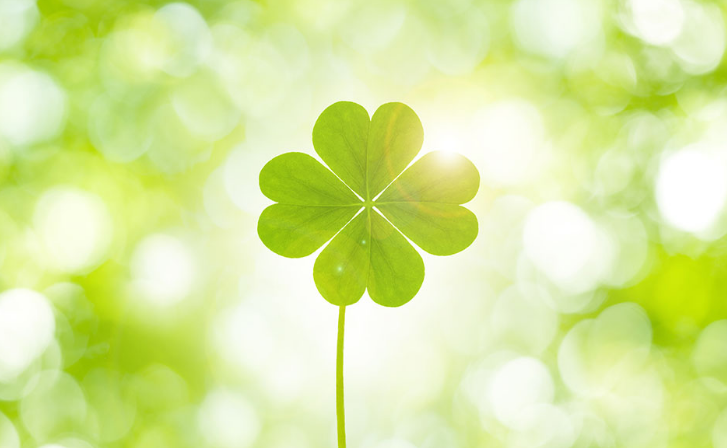 亚游AG娱乐|AG真人国际厅