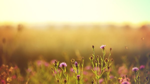 亚游AG娱乐|AG真人国际厅