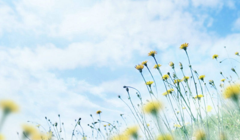 亚游AG娱乐|AG真人国际厅