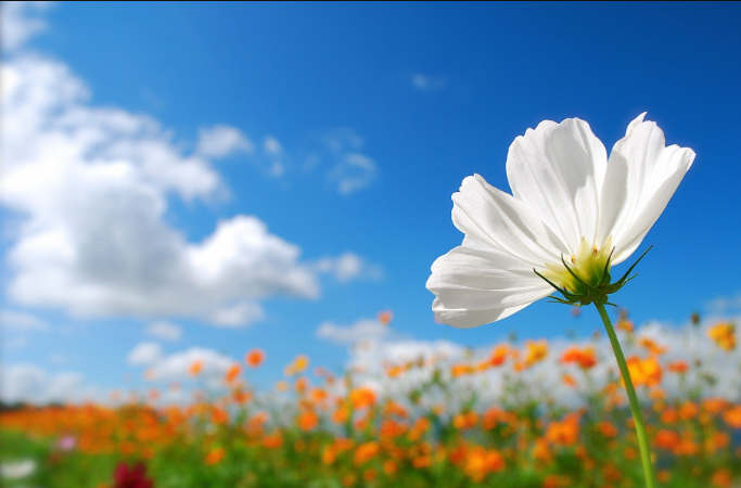 亚游AG娱乐|AG真人国际厅