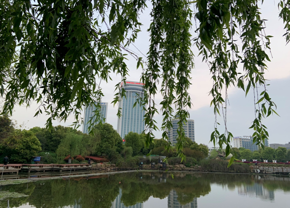 亚游AG娱乐|AG真人国际厅