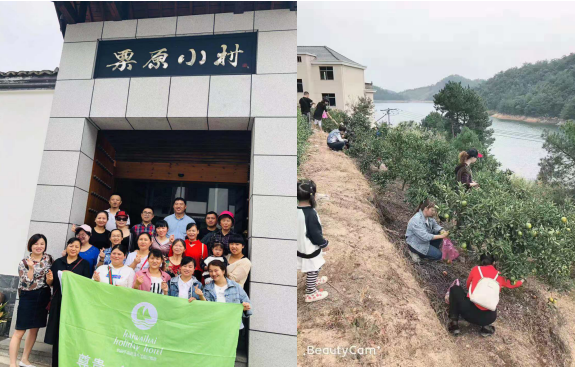 亚游AG娱乐|AG真人国际厅