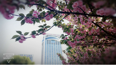 亚游AG娱乐|AG真人国际厅