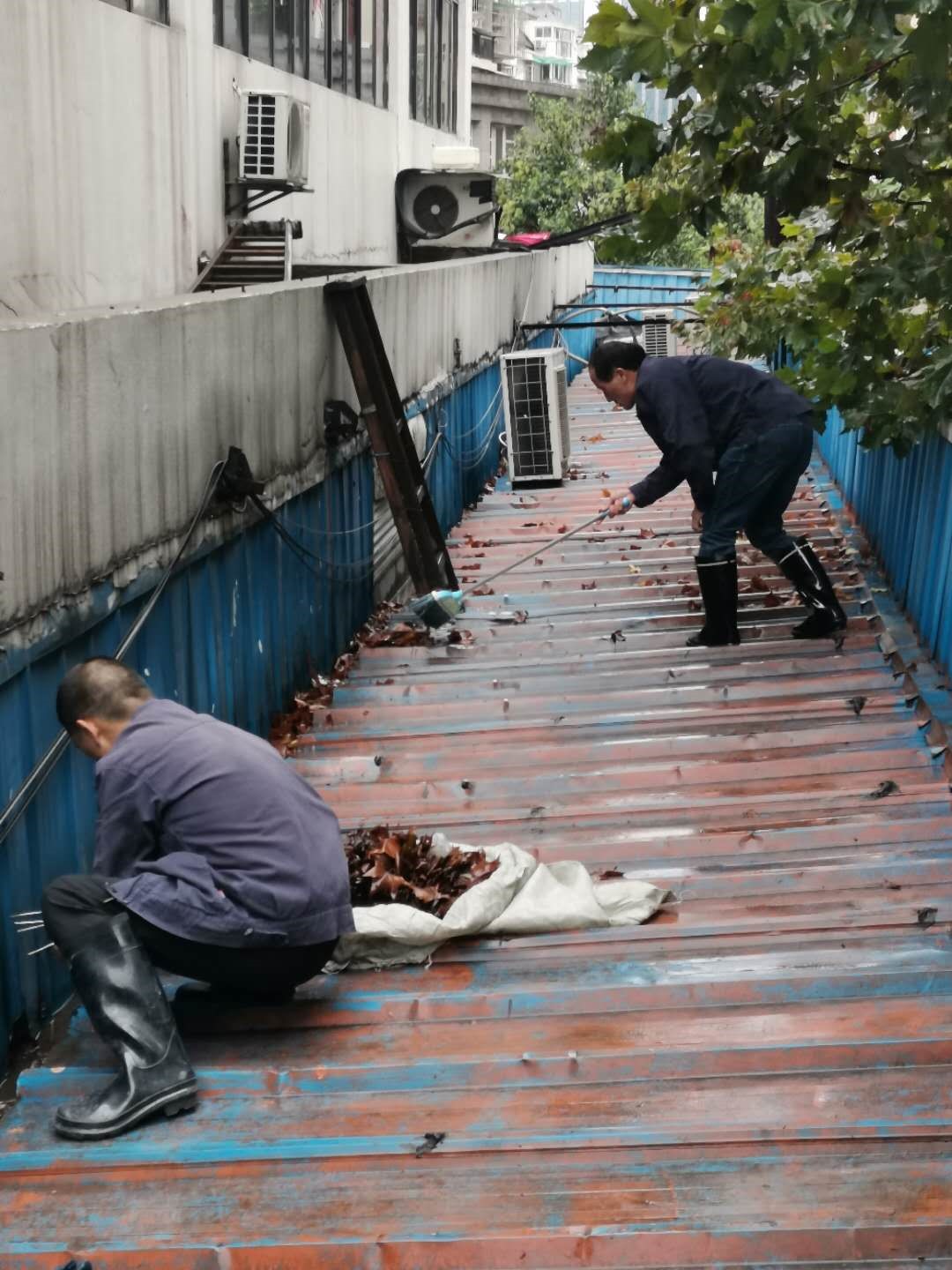 亚游AG娱乐|AG真人国际厅