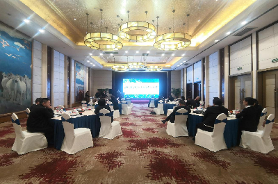 亚游AG娱乐|AG真人国际厅