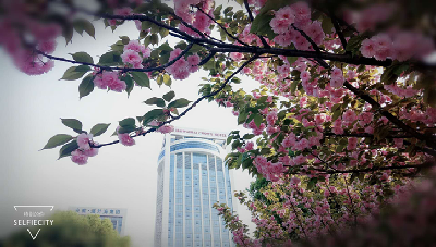 亚游AG娱乐|AG真人国际厅