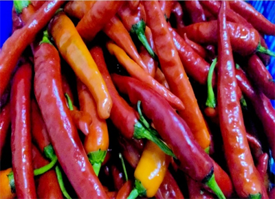 亚游AG娱乐|AG真人国际厅