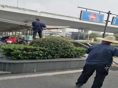 亚游AG娱乐|AG真人国际厅