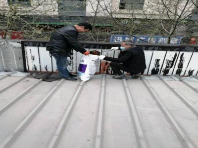 亚游AG娱乐|AG真人国际厅