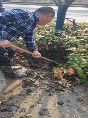 亚游AG娱乐|AG真人国际厅