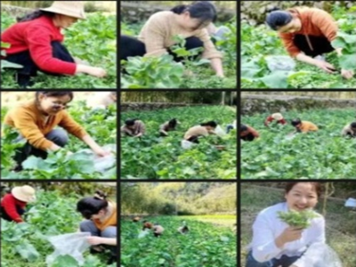 亚游AG娱乐|AG真人国际厅