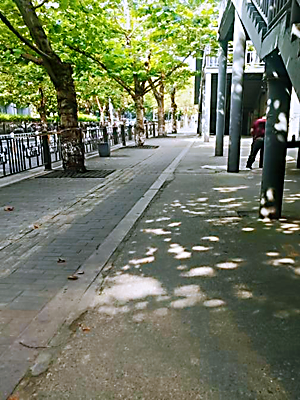 亚游AG娱乐|AG真人国际厅