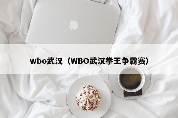 wbo武汉（WBO武汉拳王争霸赛）
