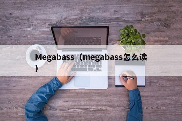 Megabass（megabass怎么读）